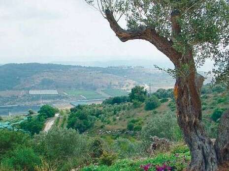 צילום: דובי זכאי צילום: דובי זכאי