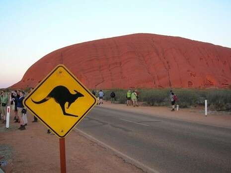 צילום: עומר שיקלר צילום: עומר שיקלר