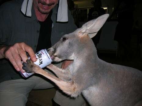 צילום: עומר שיקלר צילום: עומר שיקלר
