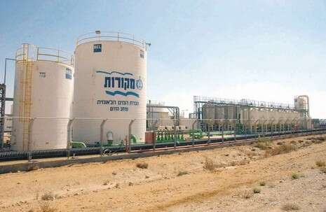 צילום: דודו גרינשפן צילום: דודו גרינשפן