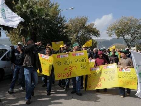 צילום: חמד אלמקת צילום: חמד אלמקת