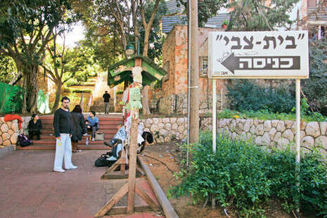 צילום: רענן כהן צילום: רענן כהן