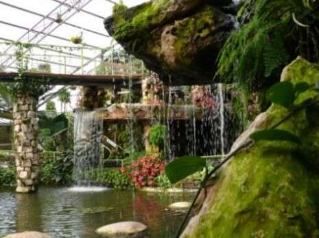 �����: ���� �����