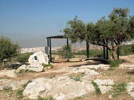 �����: ���� ����