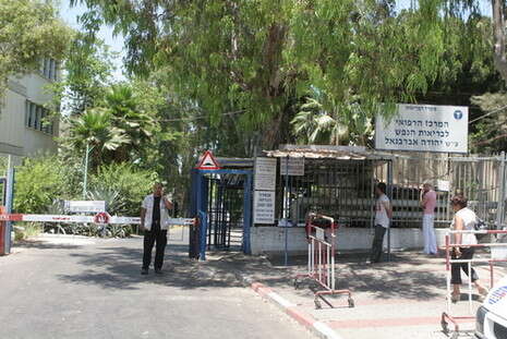 צילום: נאור רהב צילום: נאור רהב