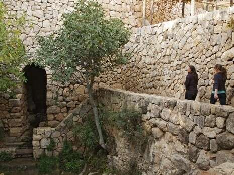 צילום: באדיבות קק''ל צילום: באדיבות קק''ל