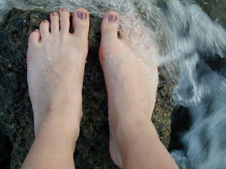 �����: SXC