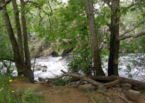 צילום: מני נחמן צילום: מני נחמן