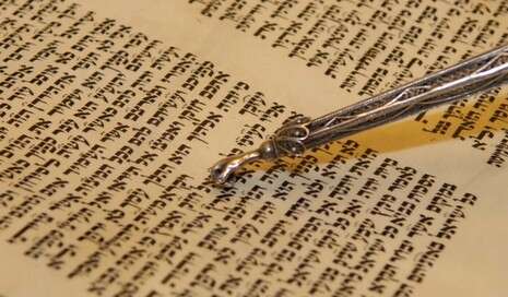 צילום: חמד אלמקת צילום: חמד אלמקת
