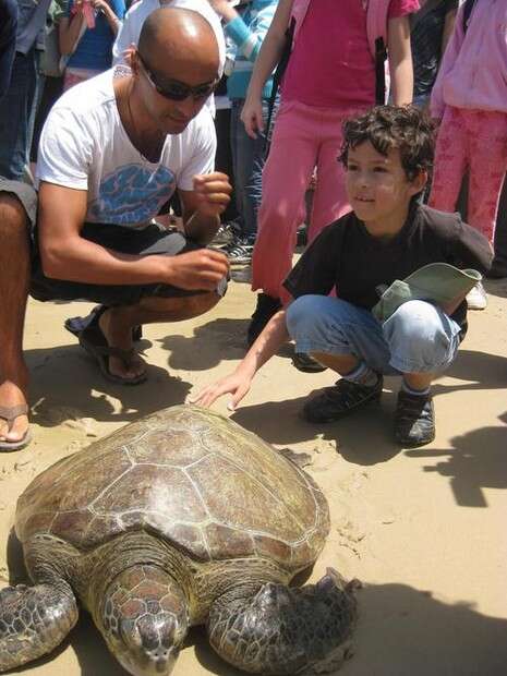 �����: ���� ����