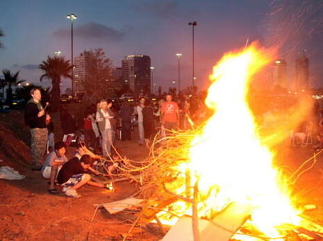 צילום: אמיר מאירי צילום: אמיר מאירי