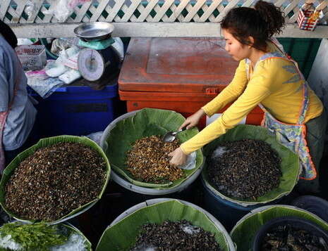 �����: ������