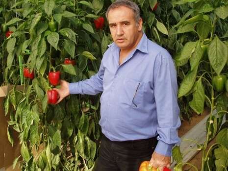 יח''צ יח''צ