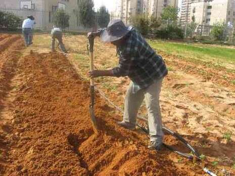 צילום: צוות קהילה, אגף הרווחה בעיריית בת-ים צילום: צוות קהילה, אגף הרווחה בעיריית בת-ים