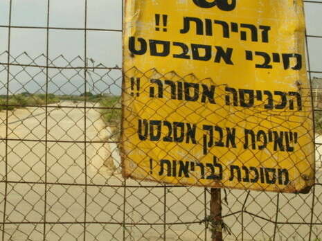 צילום: אלכס רוזקובסקי צילום: אלכס רוזקובסקי
