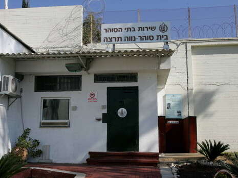 צילום: אלי דסה צילום: אלי דסה