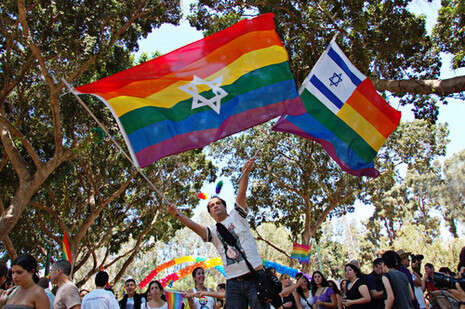 צילום: דימה וזינוביץ' צילום: דימה וזינוביץ'