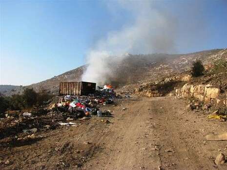 צילום: זכריה ניקסון צילום: זכריה ניקסון