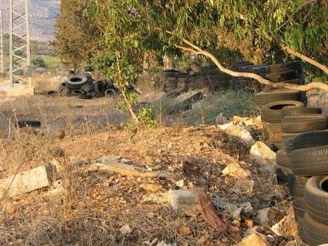 צילום: זכריה נקסון צילום: זכריה נקסון