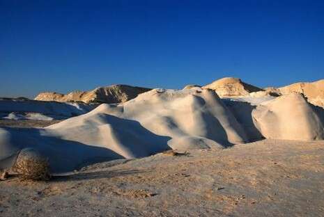 צילום: נירה צדוק צילום: נירה צדוק