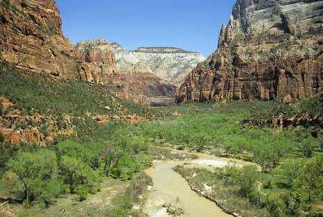 �����: ��� ����