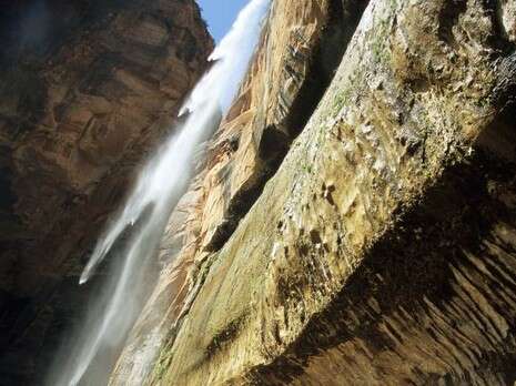 �����: ��� ����