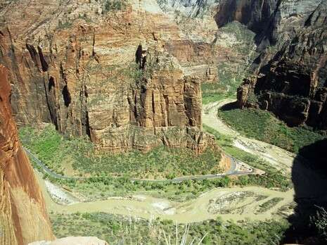 �����: ��� ����