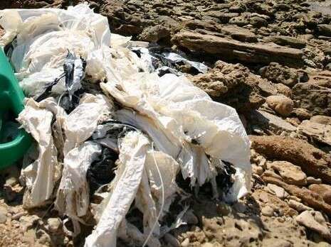 �����:���� ����