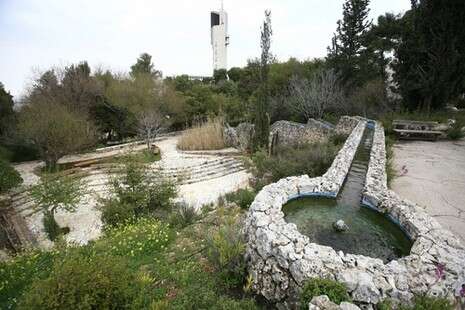 צילום: פלאש 90 צילום: פלאש 90