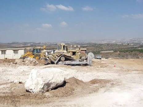 צילום: איתמר בן דוד, החברה להגנת הטבע צילום: איתמר בן דוד, החברה להגנת הטבע