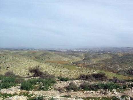 צילום: איתמר בן דוד, החברה להגנת הטבע צילום: איתמר בן דוד, החברה להגנת הטבע