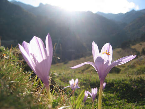 �����: SXC