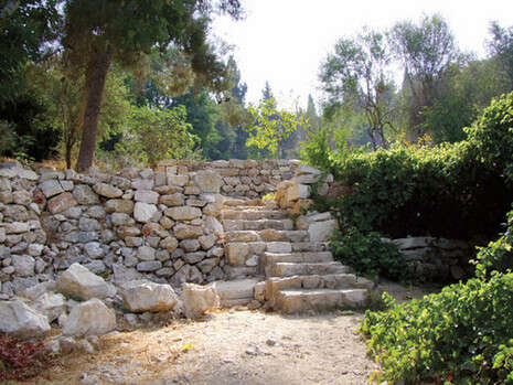 �����: ���� ����