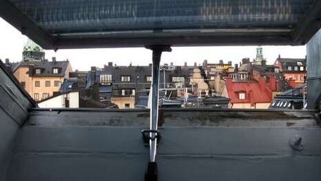 �����: ���� �����