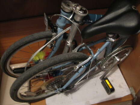 צילום: נוי רייך צילום: נוי רייך