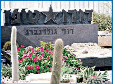 אלי דסה אלי דסה
