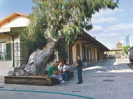 צילום: דובי זכאי צילום: דובי זכאי