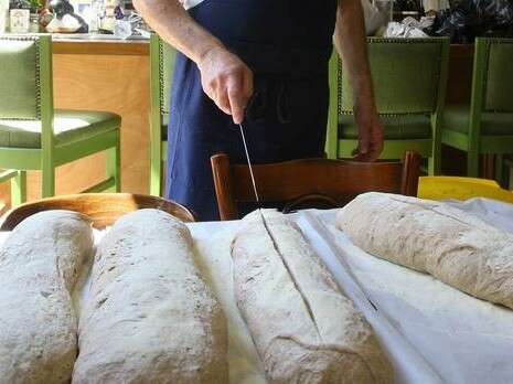 �����: ���� ����