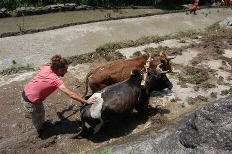 צילום: anna schuettge צילום: anna schuettge