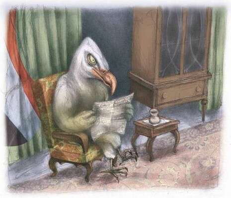 ����: ��� ����