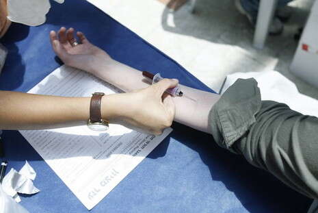 צילום ארכיון: פלאש 90 צילום ארכיון: פלאש 90