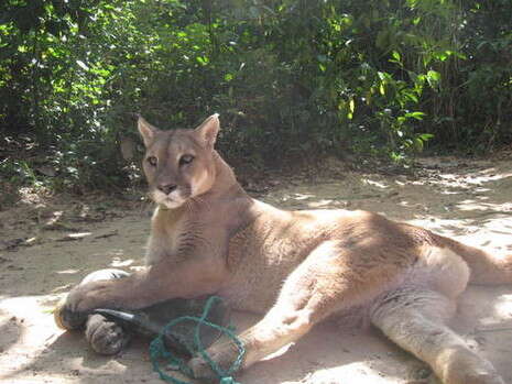 צילום: ניצן לביא צילום: ניצן לביא