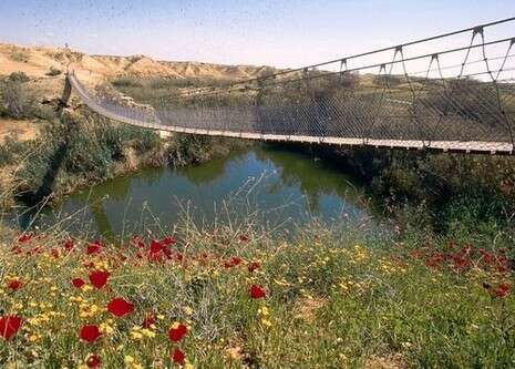 צילום באדיבות רשות הגנים צילום באדיבות רשות הגנים