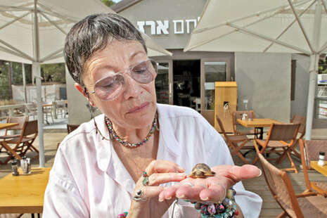 צילום: פלאש 90 צילום: פלאש 90