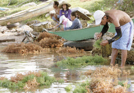 צילום: רויטרס צילום: רויטרס