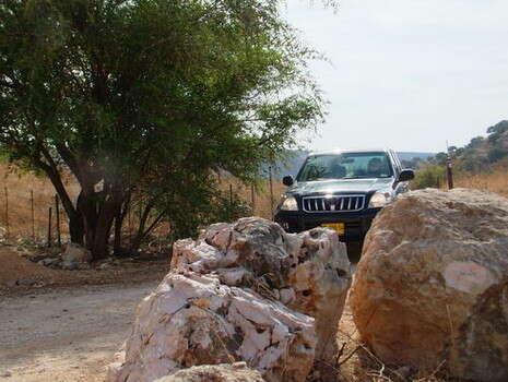 �����: ���� ����