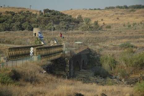 צילום: בילי פרנקל צילום: בילי פרנקל