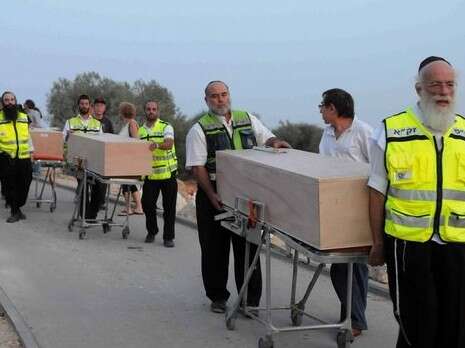 צילום: יהונתן שאול צילום: יהונתן שאול