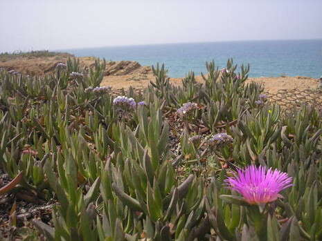 �����: ����� ����� ����