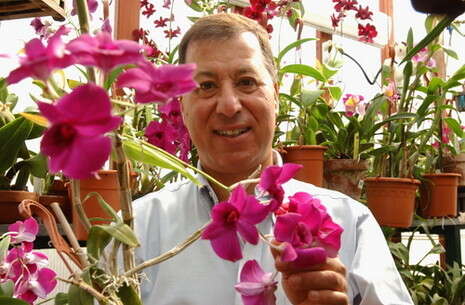 צילום ארכיון: ראובן קסטרו צילום ארכיון: ראובן קסטרו